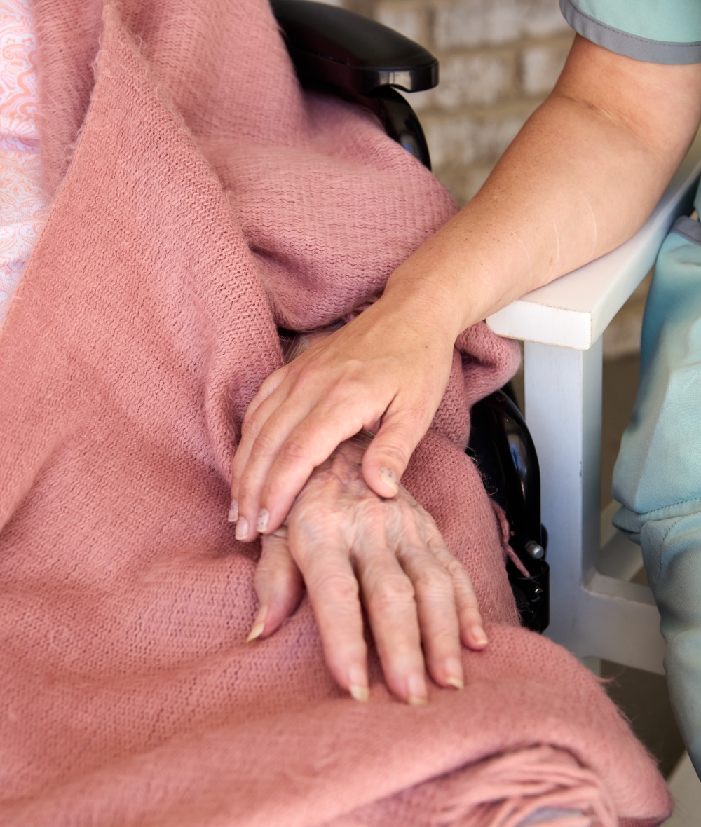 hospice hands